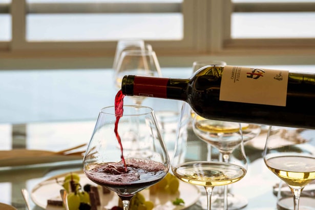 Wine Tasting Hotel Le Agavi (2)